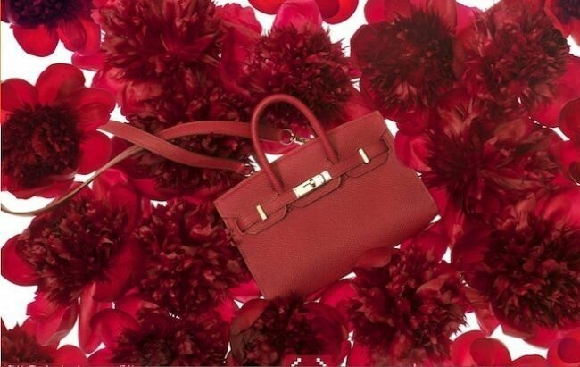 Модная сумка благородного красного цвета из кожи теленка от Hermès Tiny Kelly and Birkin 2013