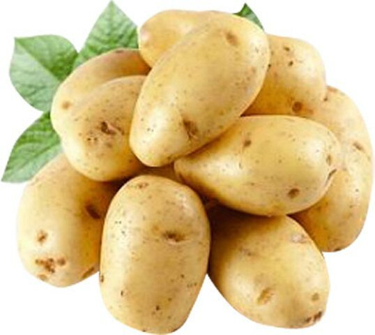Картофель содержит большое количество витамина С, который ускоряет синтез коллагена в коже, сохраняет ее молодость и красоту.
