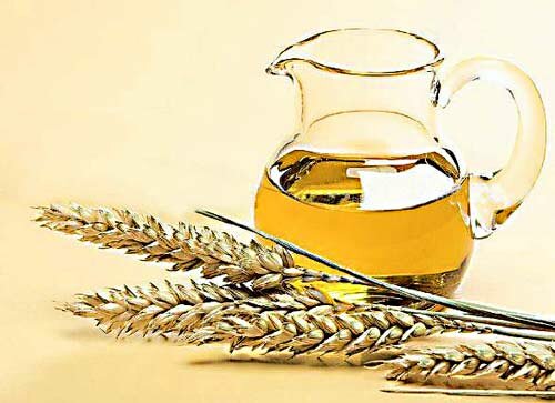 Масло ростков пшеницы и его свойства