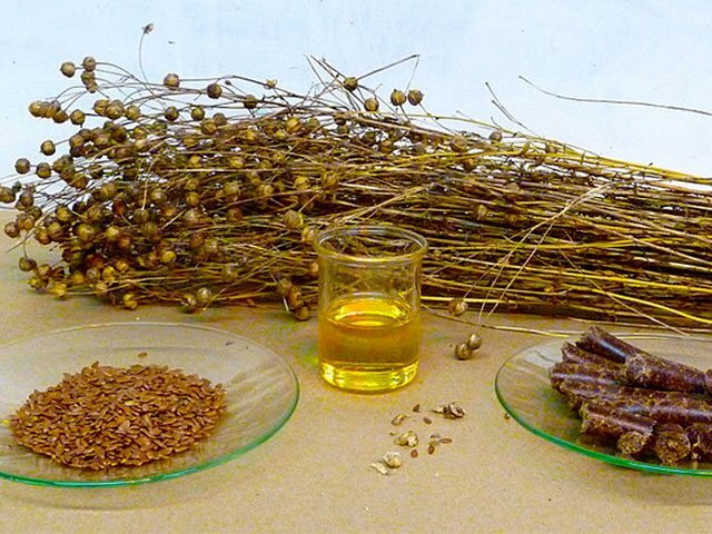 Льняное масло и народная медицина