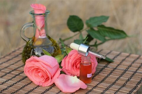 Эфирное масло розы и его свойства
