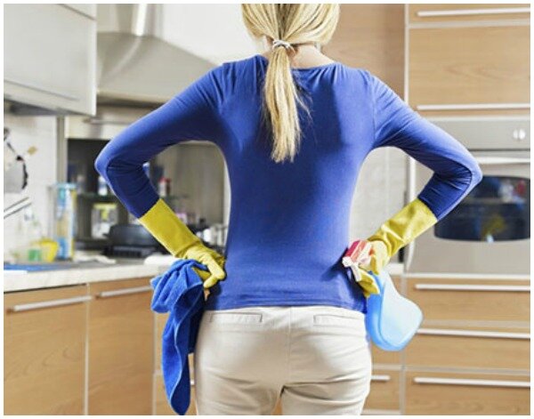 Чистота в доме – предотвратит появление мошек