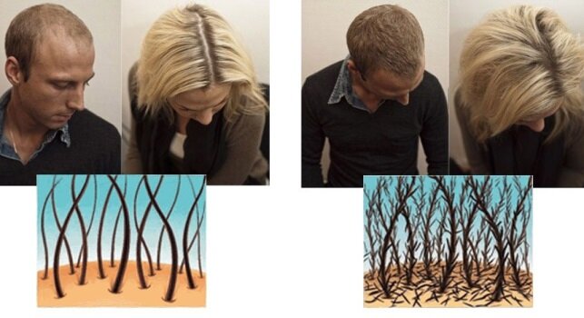 Результат нанесения камуфляжа для волос: фото до и после